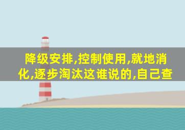 降级安排,控制使用,就地消化,逐步淘汰这谁说的,自己查