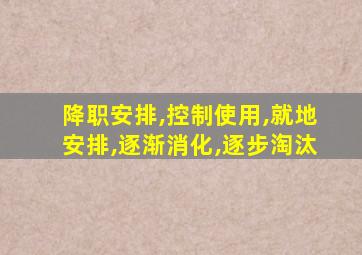 降职安排,控制使用,就地安排,逐渐消化,逐步淘汰