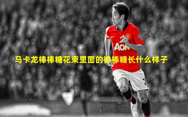 马卡龙棒棒糖花束里面的棒棒糖长什么样子